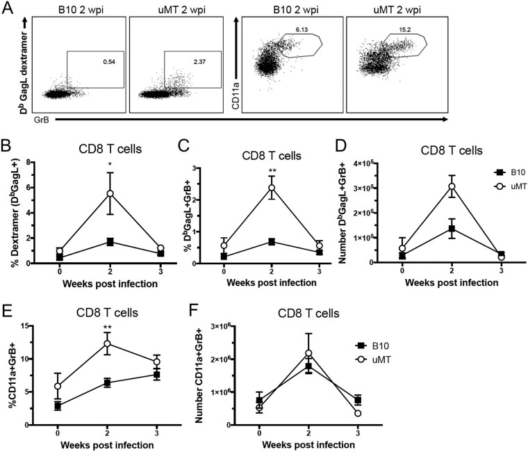 FIG 4 