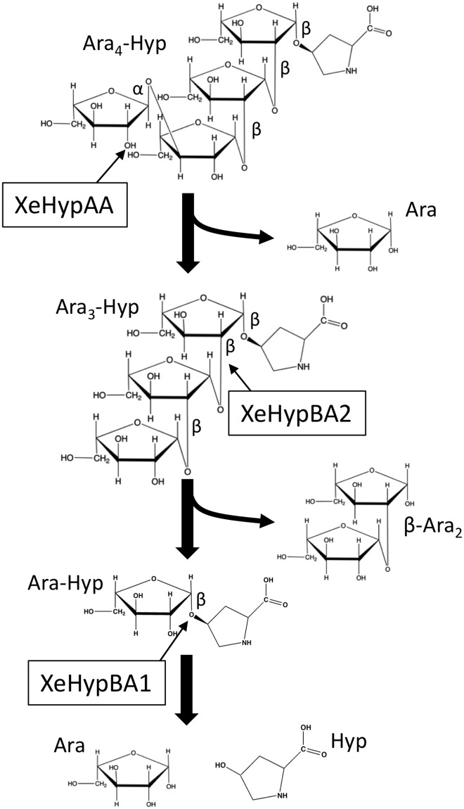 Fig 5