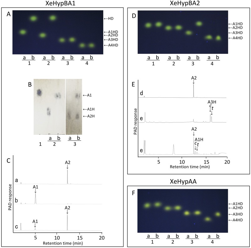 Fig 3