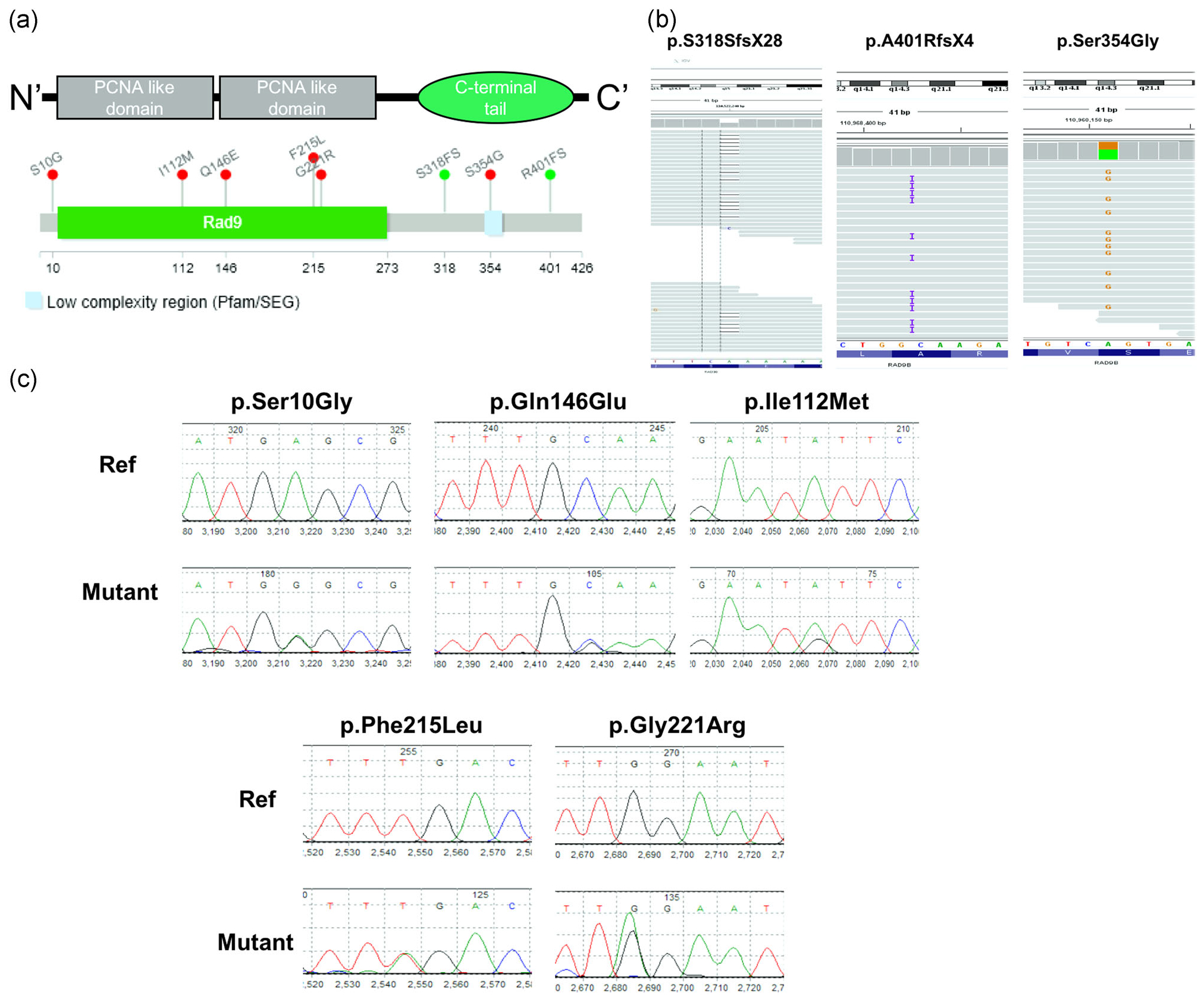 FIGURE 1