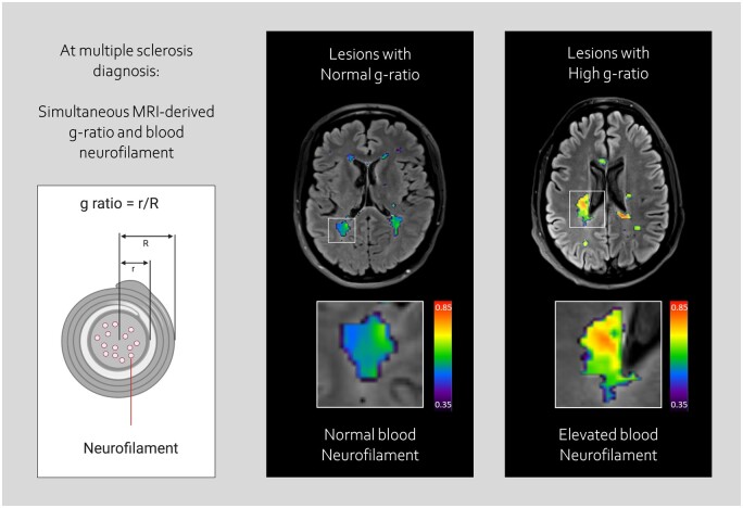 Graphical Abstract