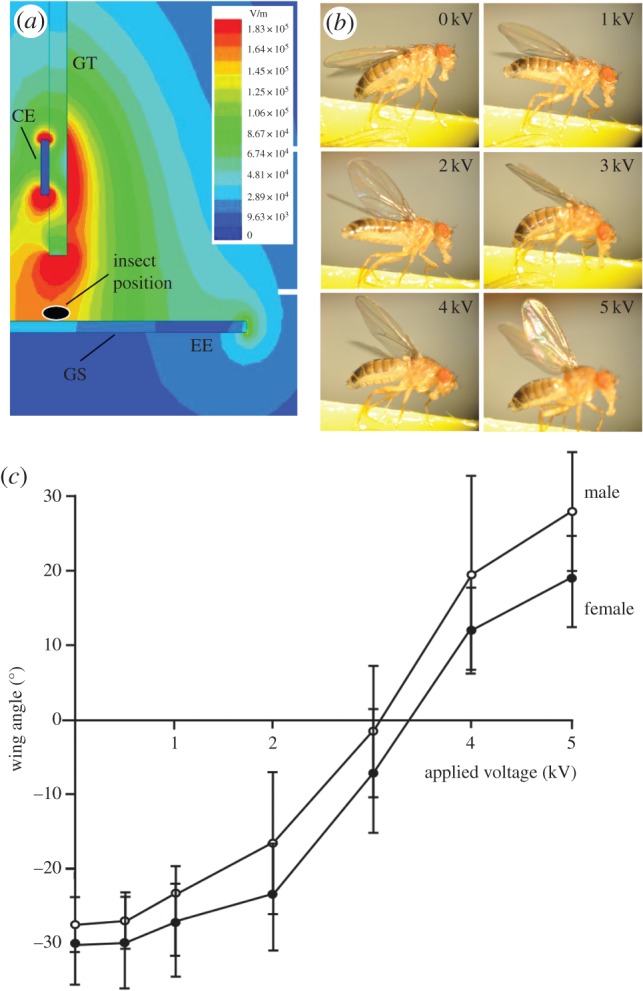 Figure 3.