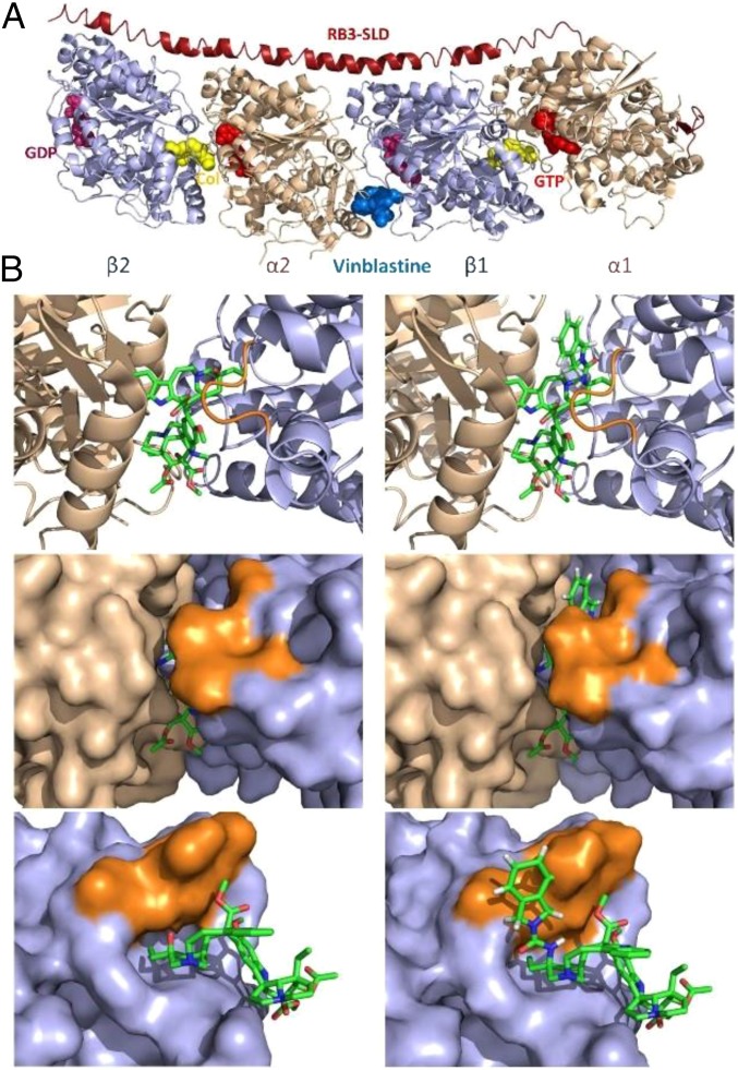 Fig. 10.