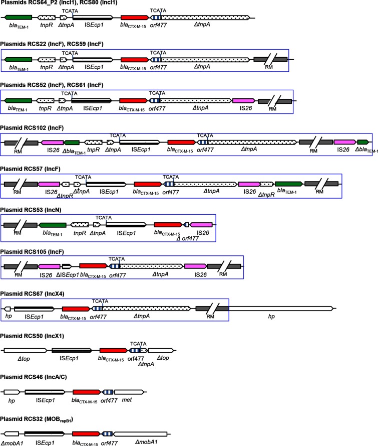 Fig. 7.