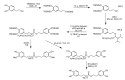 Scheme 23