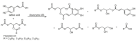 Scheme 33