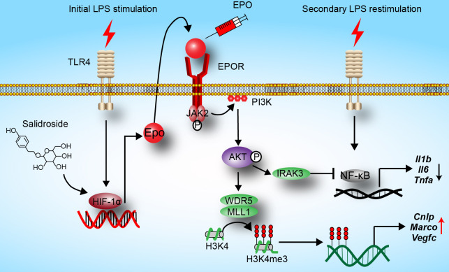 Figure 6