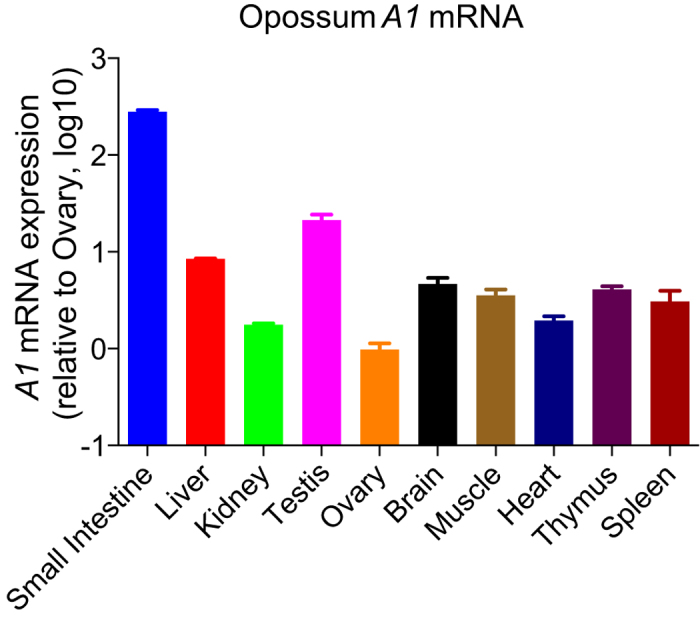 Figure 7