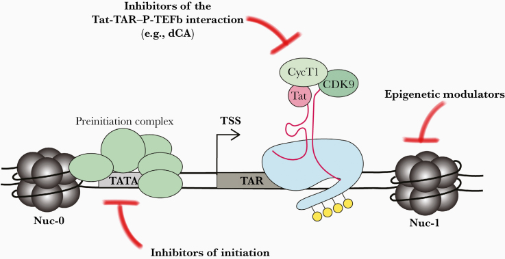 Figure 3.