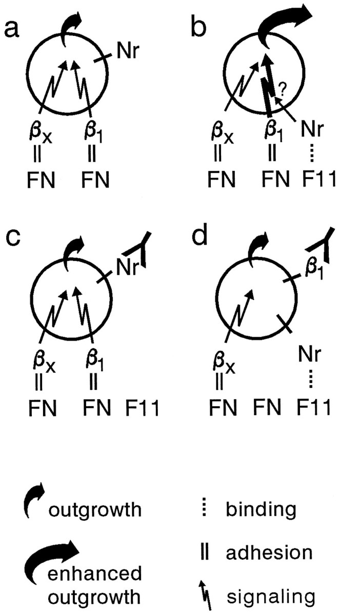 Fig. 8.