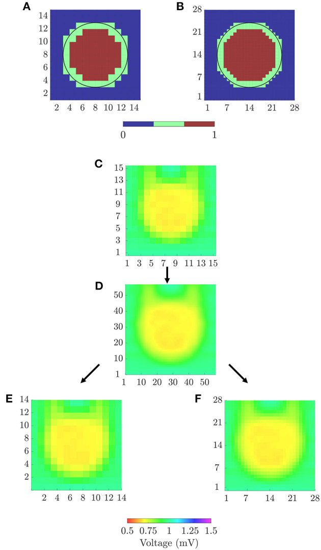 Figure 4