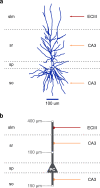 Fig. 7