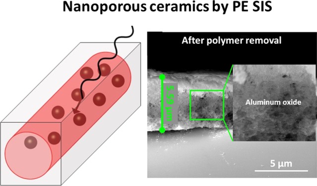 graphic file with name ao-2017-01314b_0007.jpg