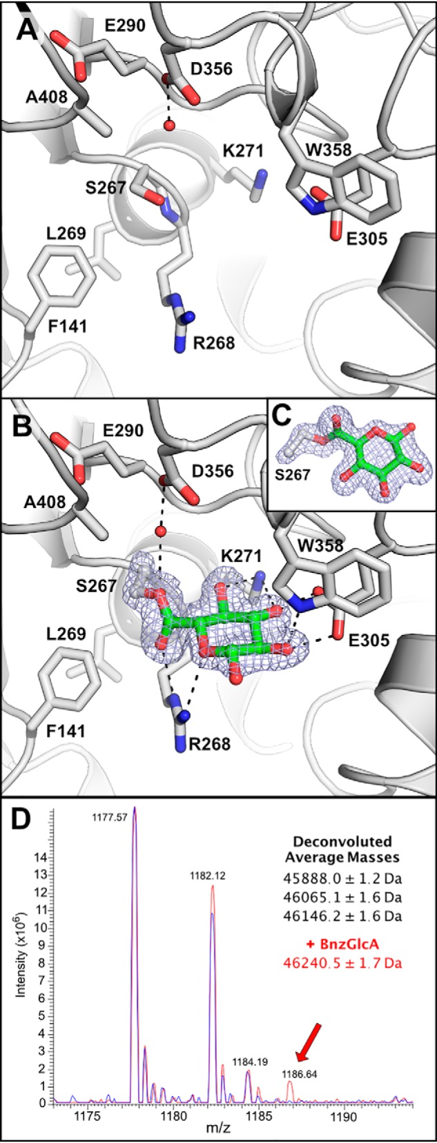 Figure 4.