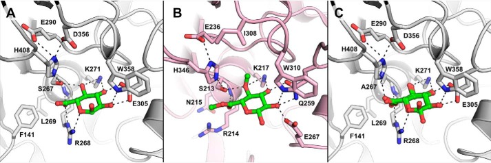 Figure 2.