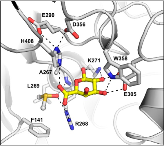 Figure 5.