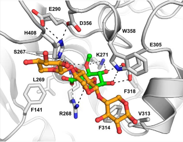 Figure 6.