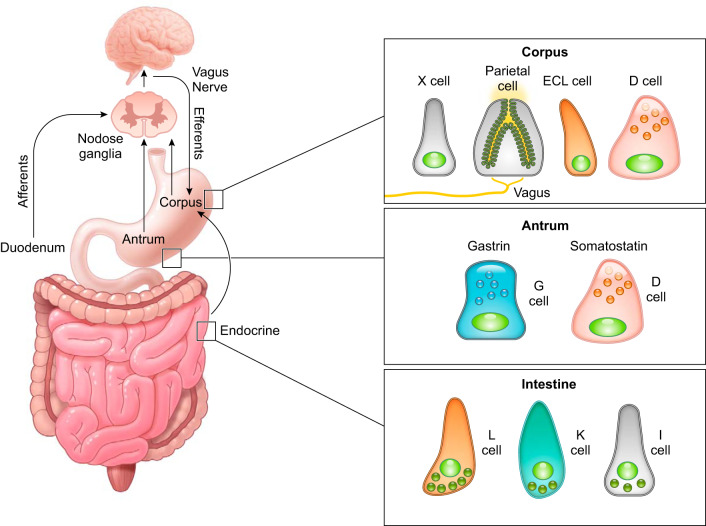 FIGURE 2.