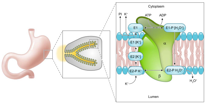 FIGURE 5.