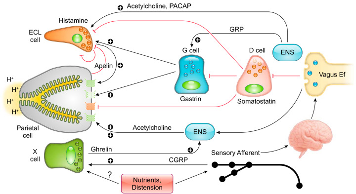 FIGURE 3.