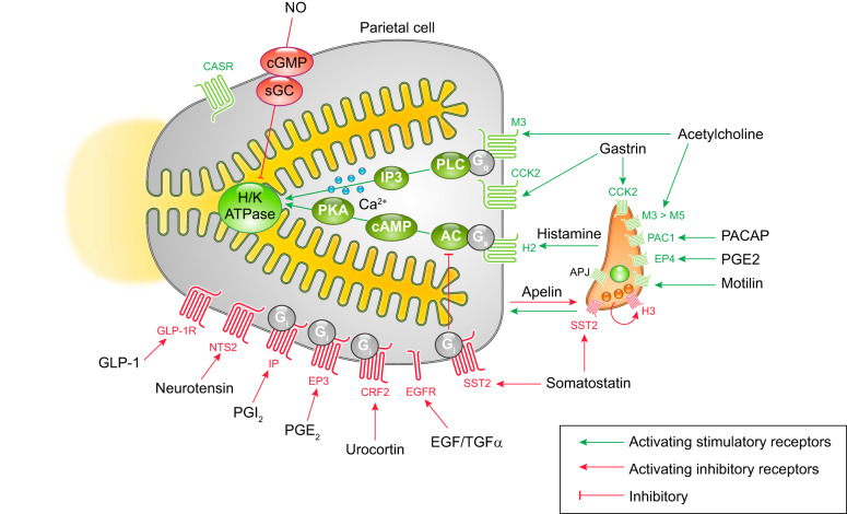 FIGURE 4.