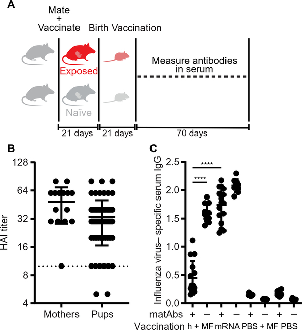 Fig. 6.