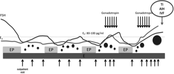 FIGURE 1