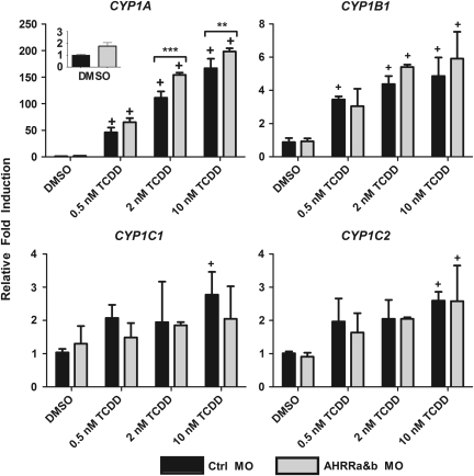 FIG. 4.