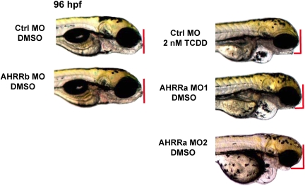 FIG. 7.