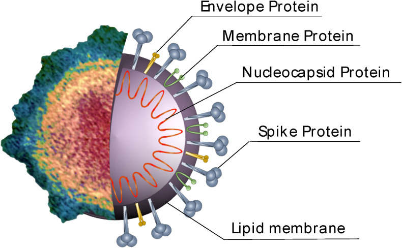 Fig. 1