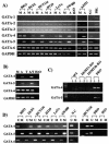 FIG. 1.