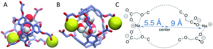 Fig. 8