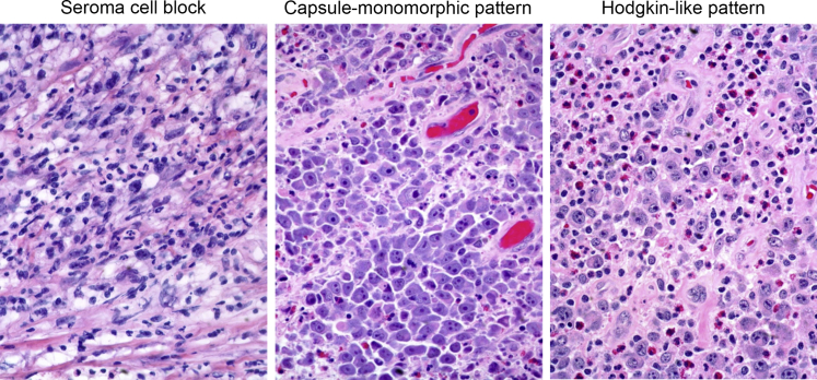 Figure 1