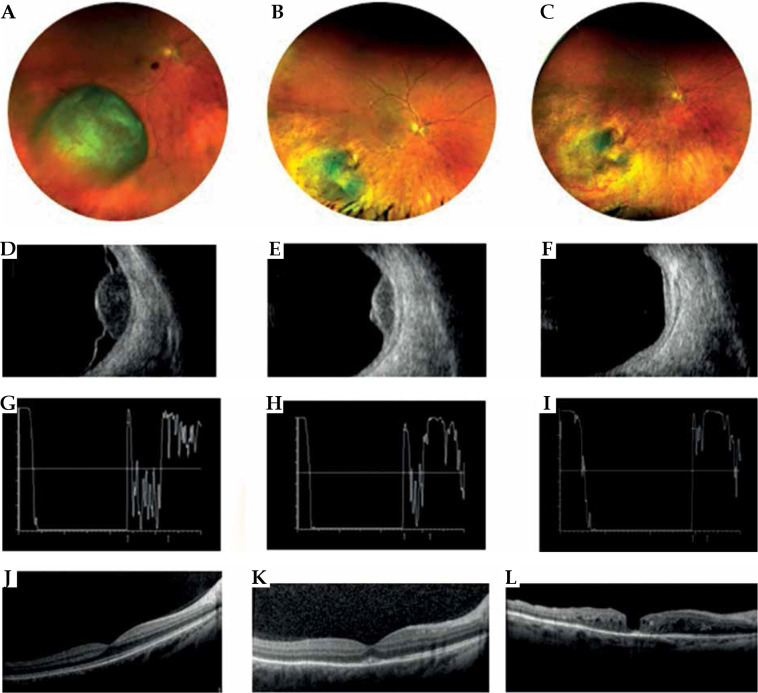 Fig. 6