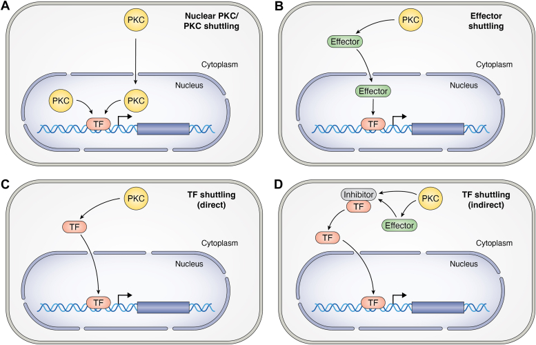 Figure 2