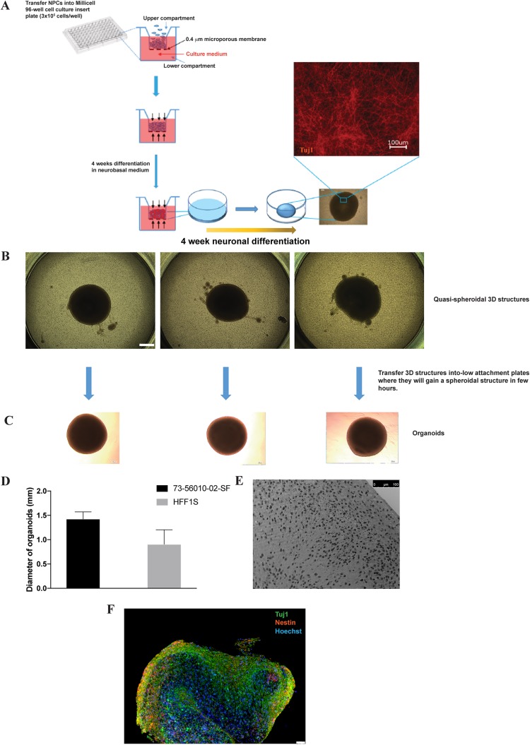 FIG 4