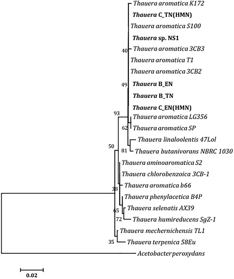 FIGURE 3