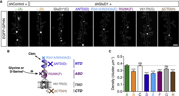 Figure 4