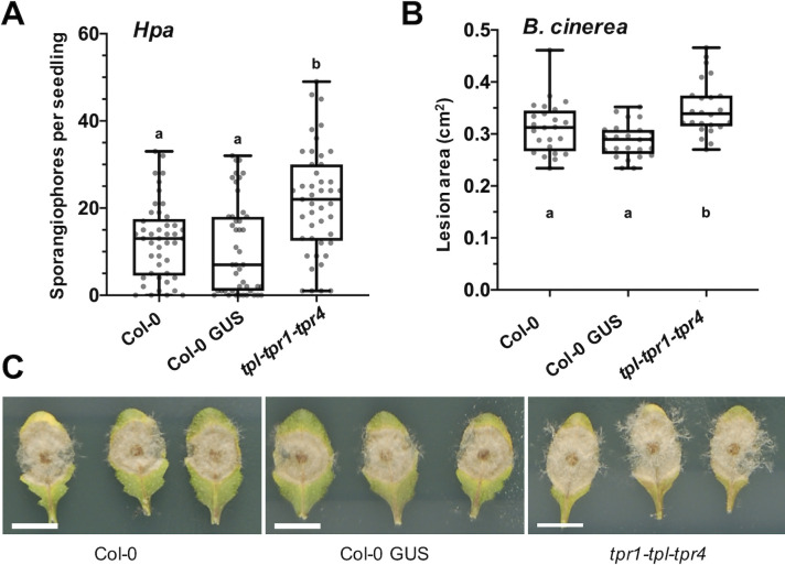 Fig 4