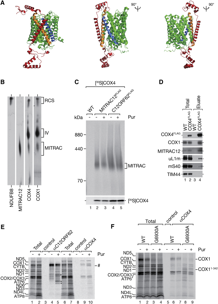 Figure 6