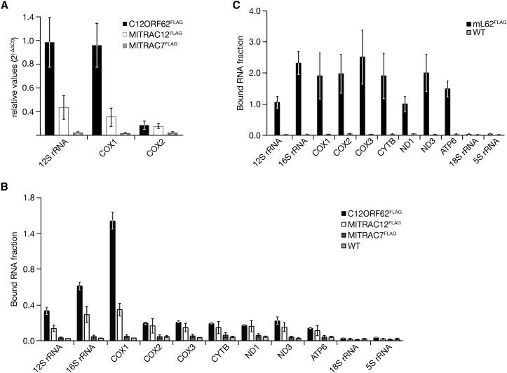 Figure 2