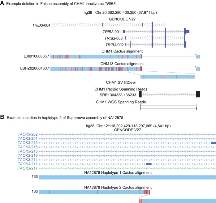 Figure 4.