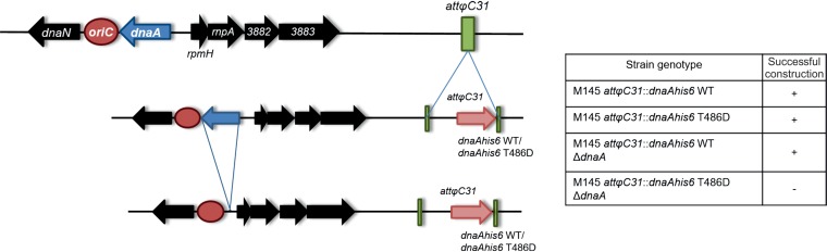 FIG 2