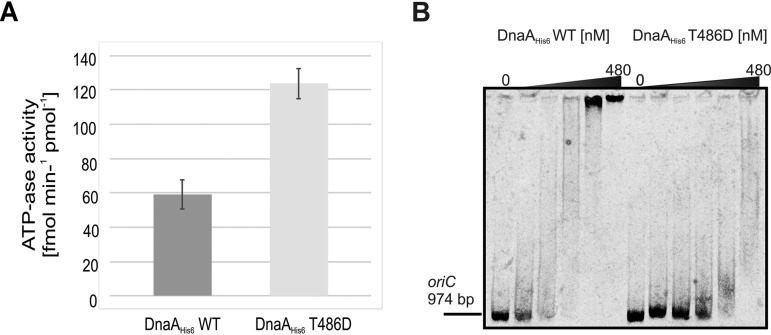 FIG 5