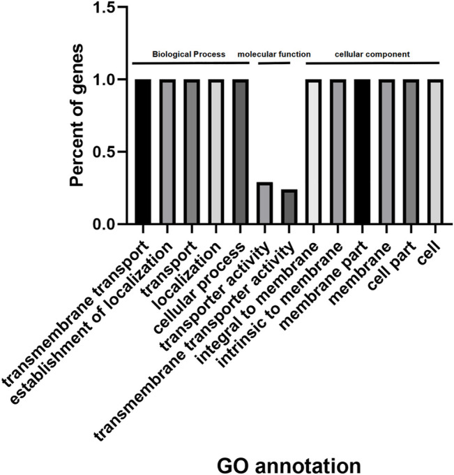 FIGURE 13