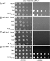 FIG. 4.