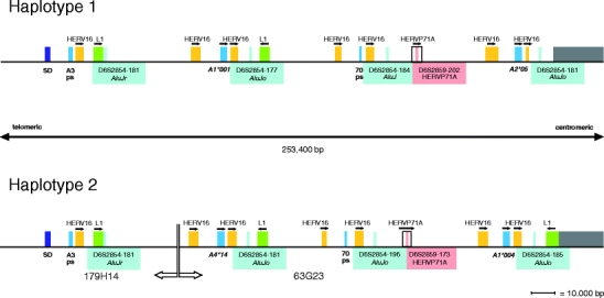 Fig. 2