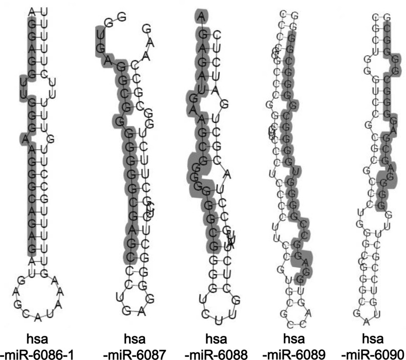 FIG. 2.