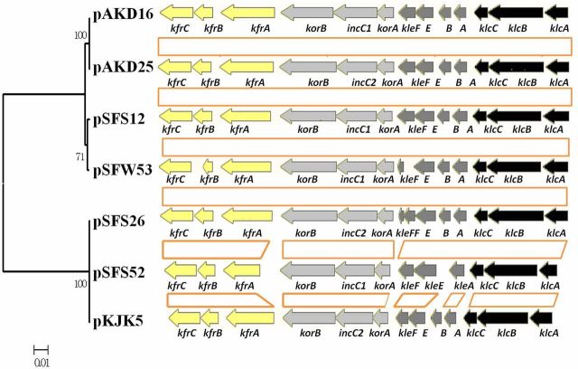 Figure 5.