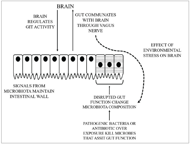 Fig. (1)